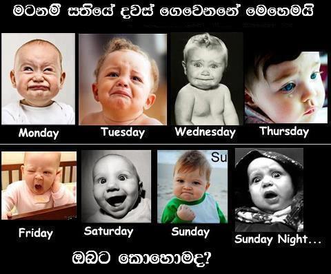Maxxa Facebook Jokes My Week Days Jokes