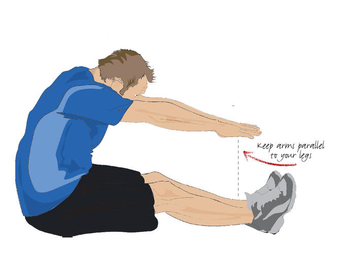 Pilates Exercises For beginners The guide for Pilates exercises for