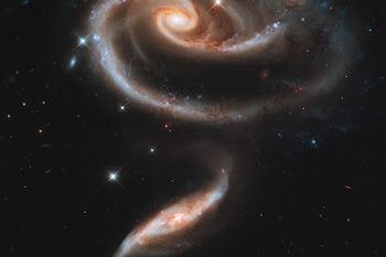 Rose of Galaxies