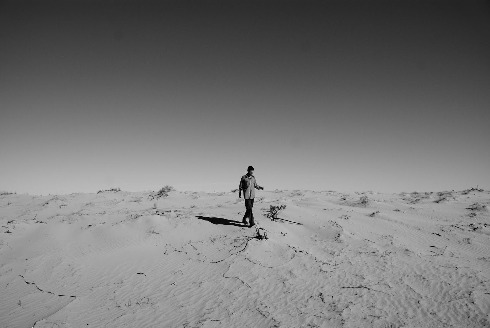 Forward the (R)evolution en armonia con la Tierra En el desierto...