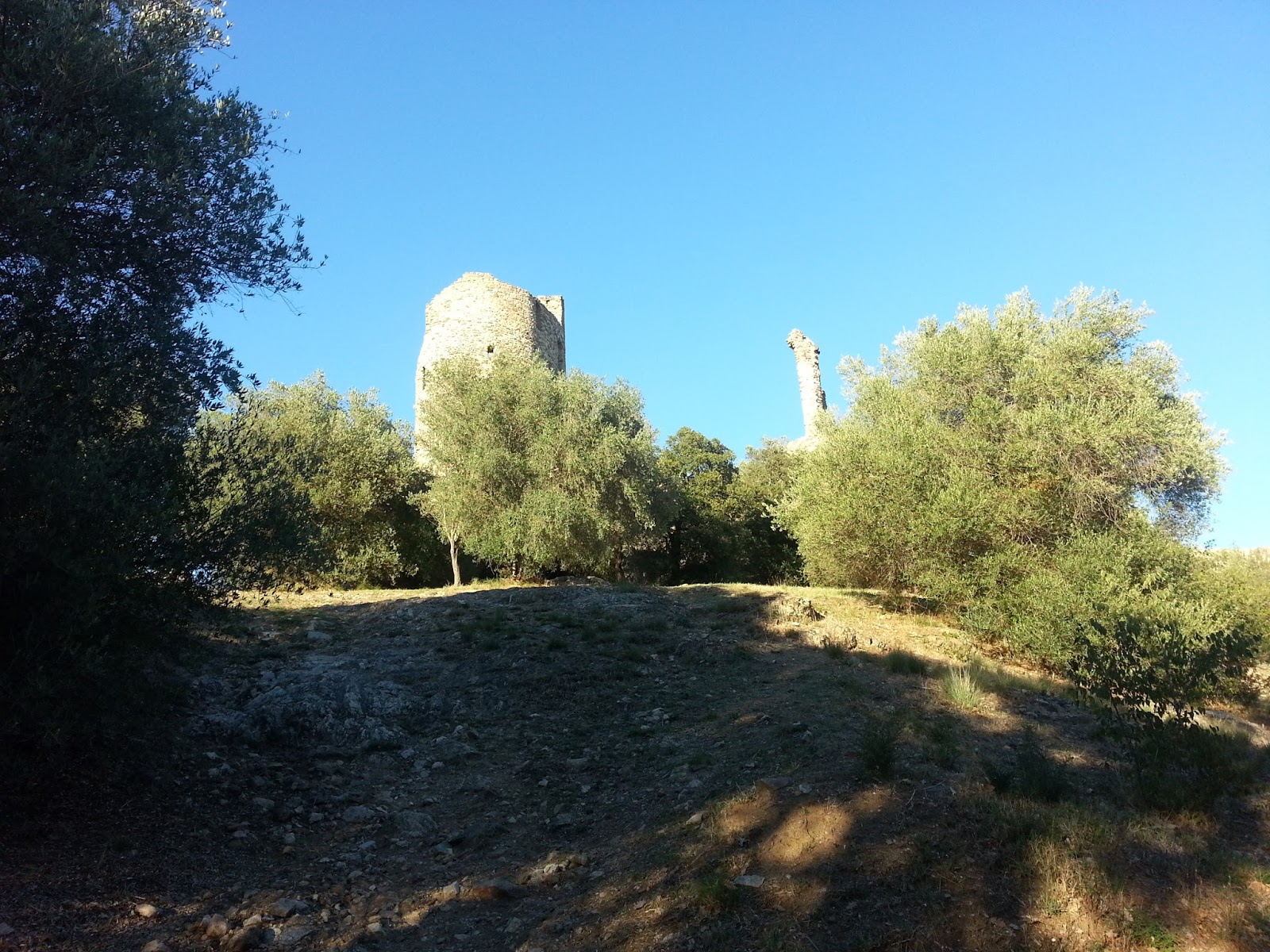 Mittwoch Juli 25 2018 Chamy 7 Comments