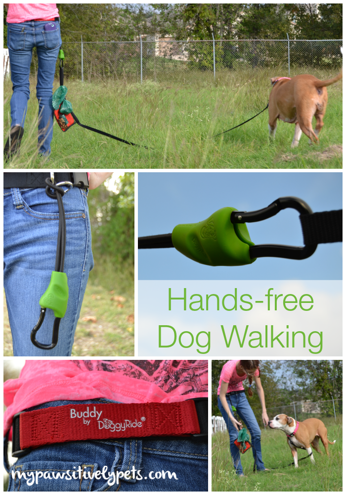 Diy Hands Free Dog Leash Diy Hands Free Dog Leash