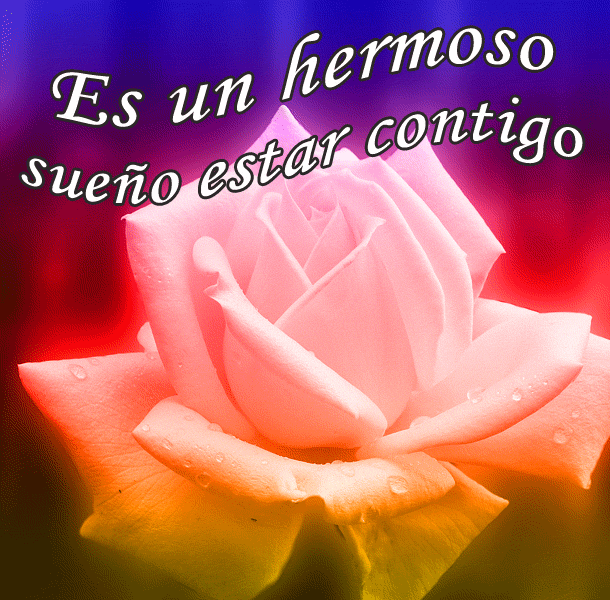 FRASES CON ROSAS