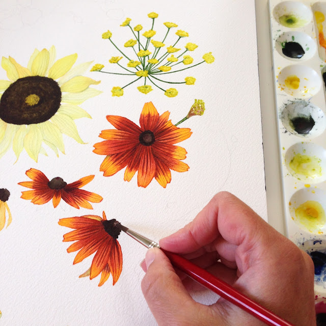 rudbeckia, sunflowers, fennel, summer flowers, garden flowers, watercolor, painting process, watercolor flowers, watercolor process, Anne Butera, My Giant Strawberry