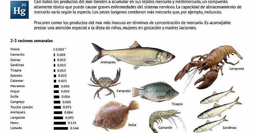 alimentos con mercurio ems solutions international lista de pescados con altos alimentos con mercurio ems solutions international lista de pescados con altos