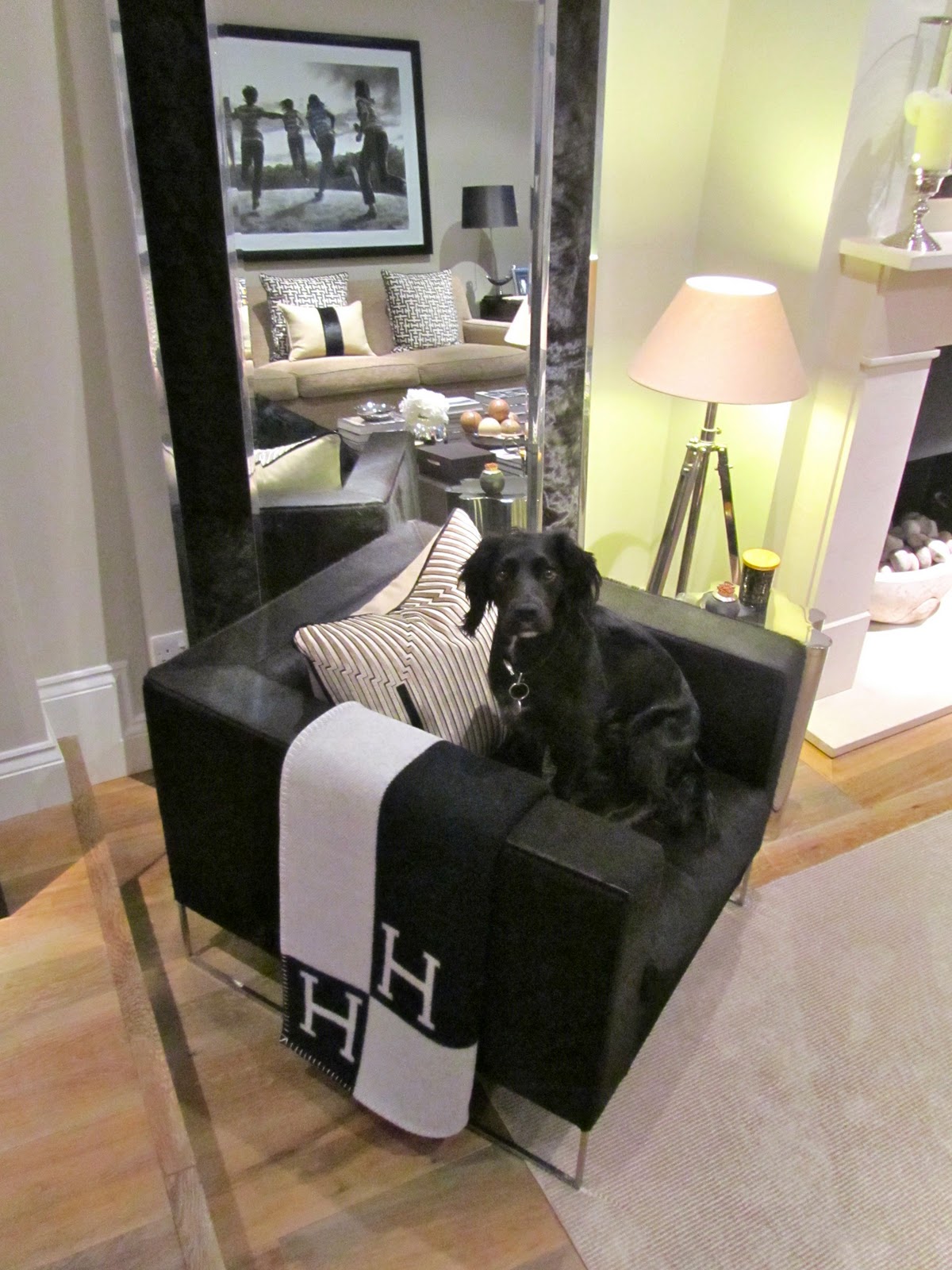 A crock of chic Hermes Avalon Blanket my precious!!