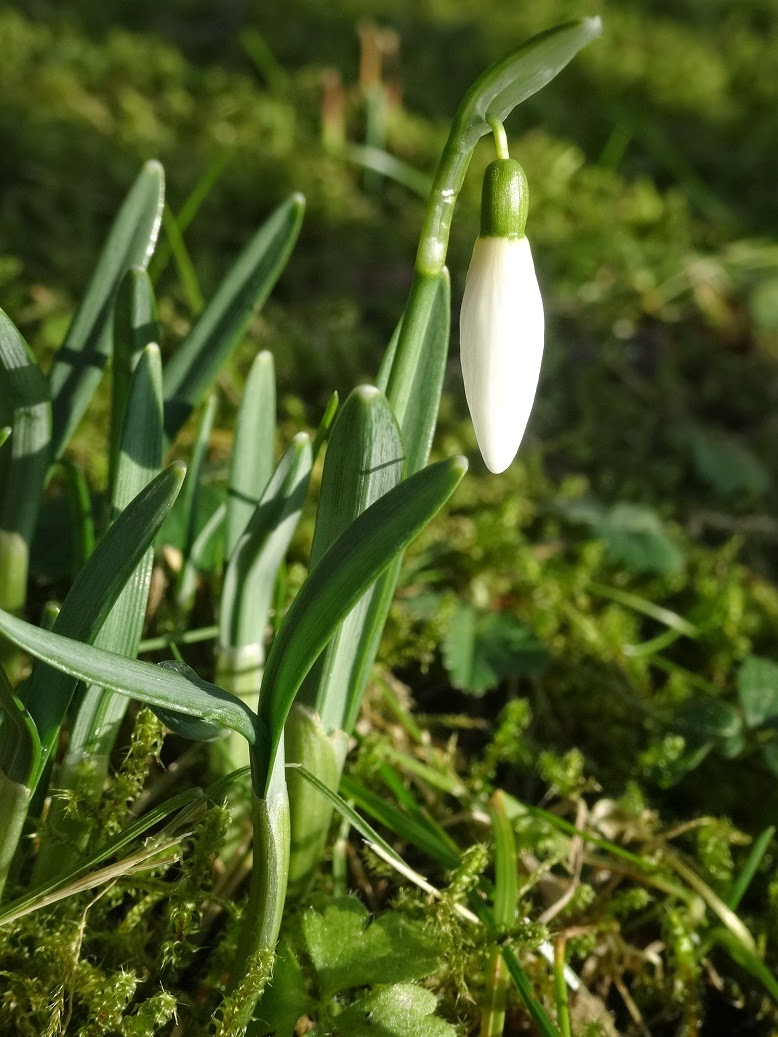 Annette Gonserowskis Lyrik Blog German Poems Poesia De Alemana