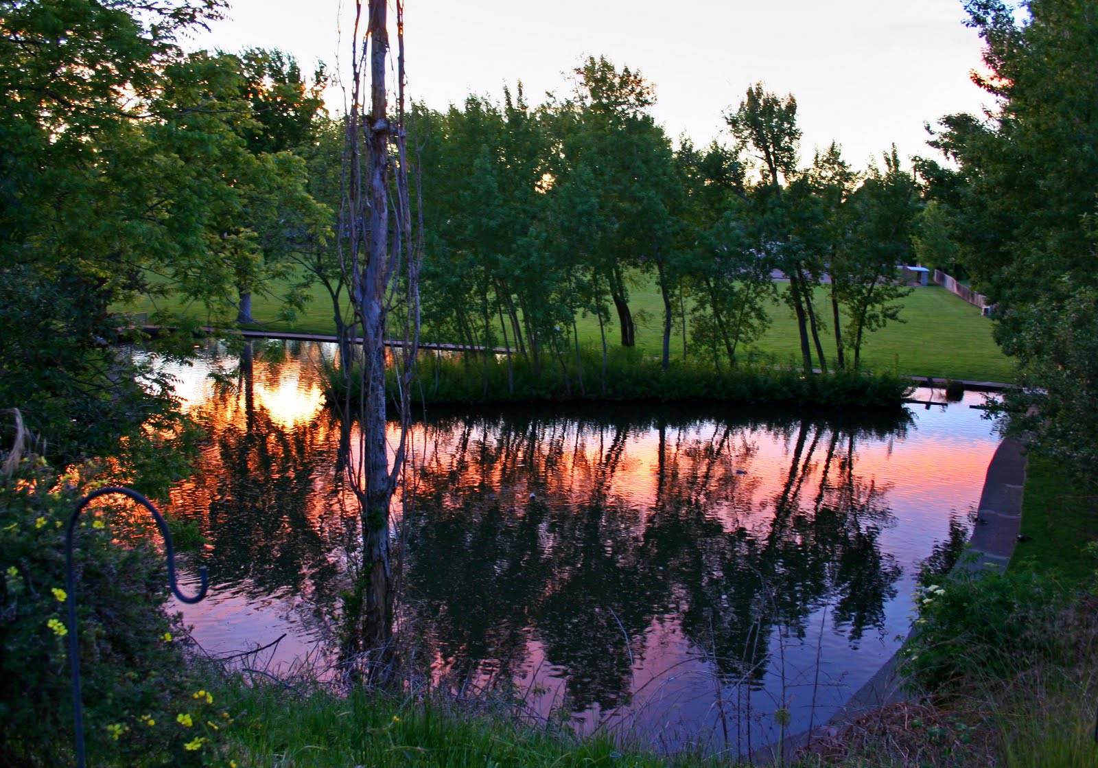 cal state long beach koi pond sunset