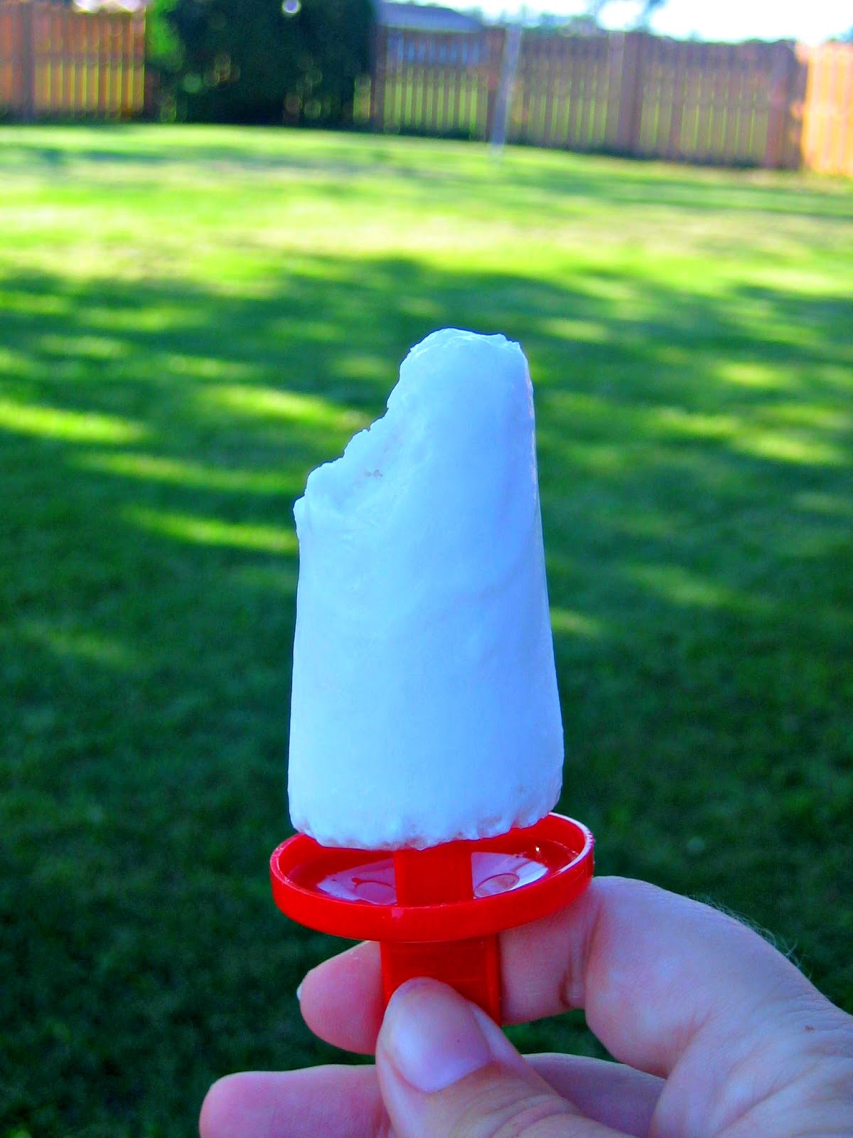 Improv Coconut Milk and Honey Popsicles Edesia's Notebook