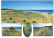 Agricultural Landscape of Southern Öland, Sweden