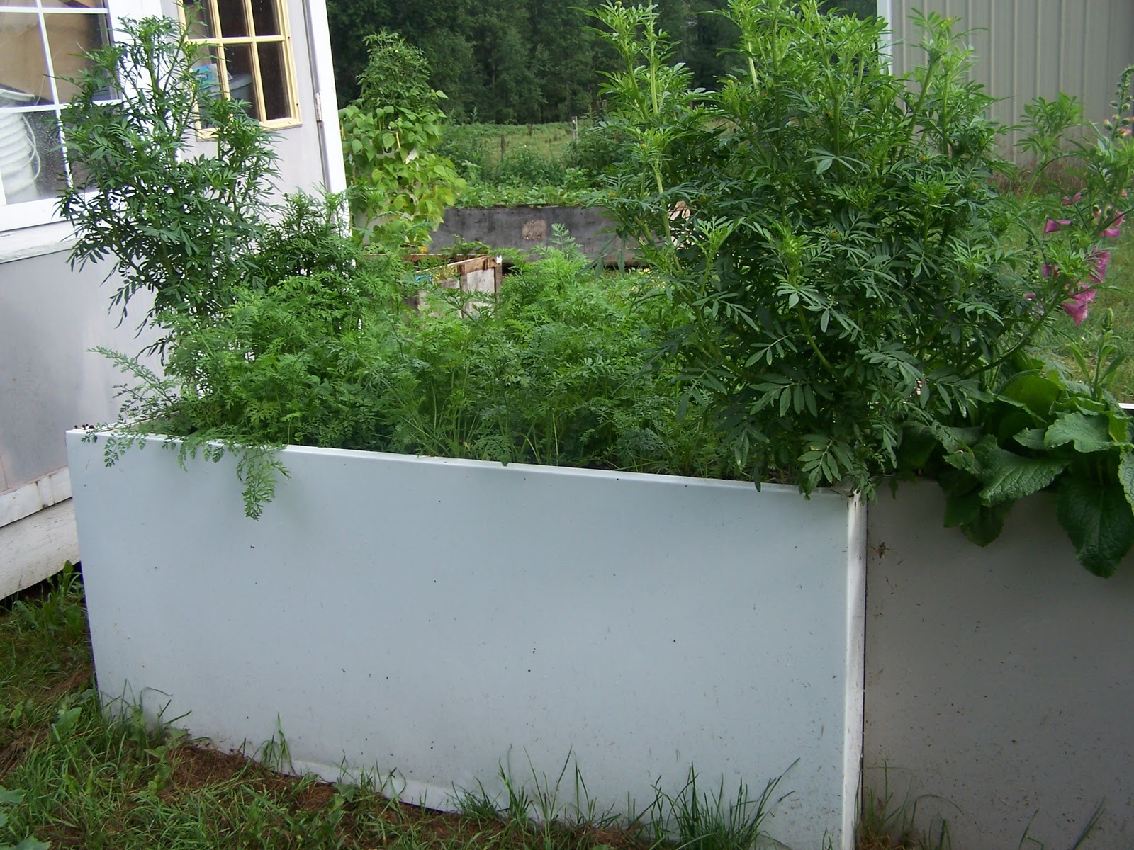 The Cranbrook Guardian Got an old fridge, freezer?