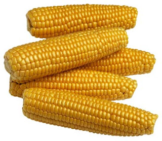 corn.jpg