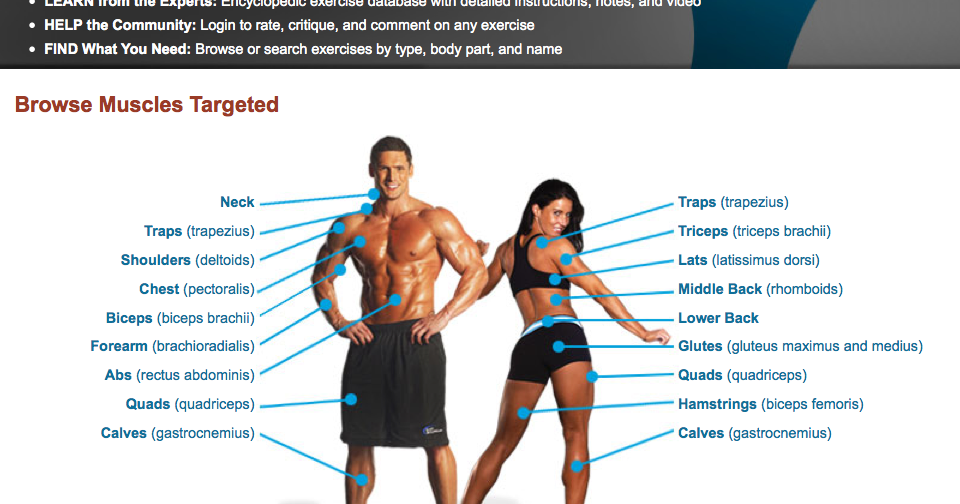 Fit Media Concepts Exercise Database