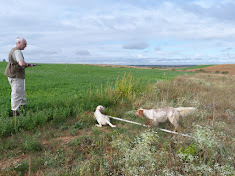 Compañeros de caza y perros