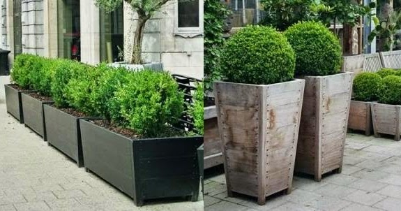 La maceta: desde lo basico hasta el diseño | Tips Jardin