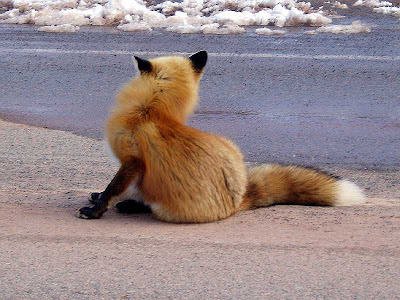 Well, if you haven’t got anything to eat I’m not even going to look at you.