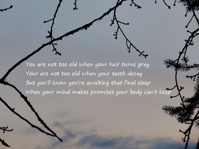 Irish Proverbs and Sayings | Beyond Wandering