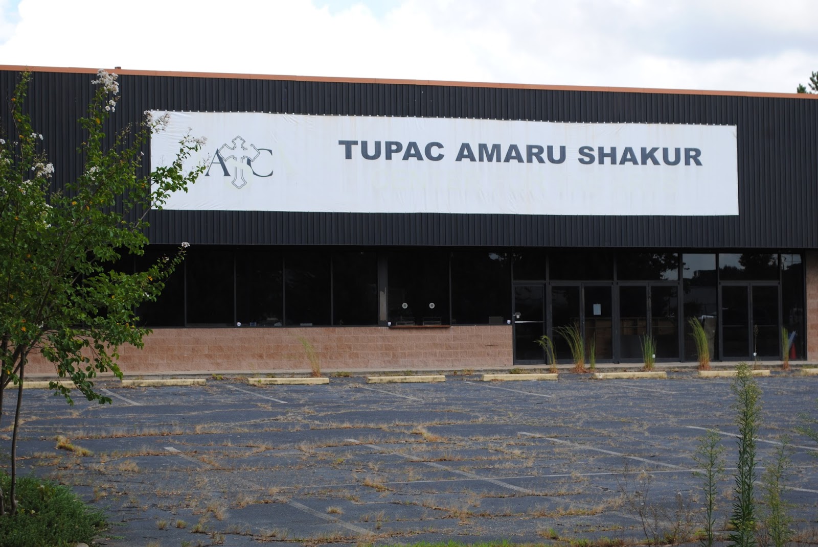 The Carpetbagger Tupac Statue in Stone Mountain, GA