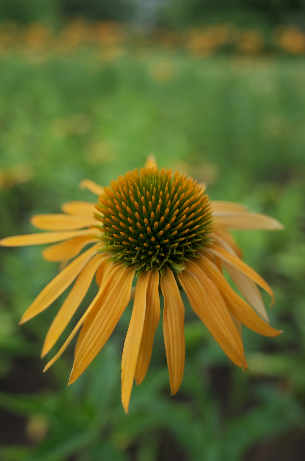 20-06-2013_09.jpg