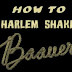 Tutorial Membuat Video Harlem Shake Menggunakan Windows Movie Marker