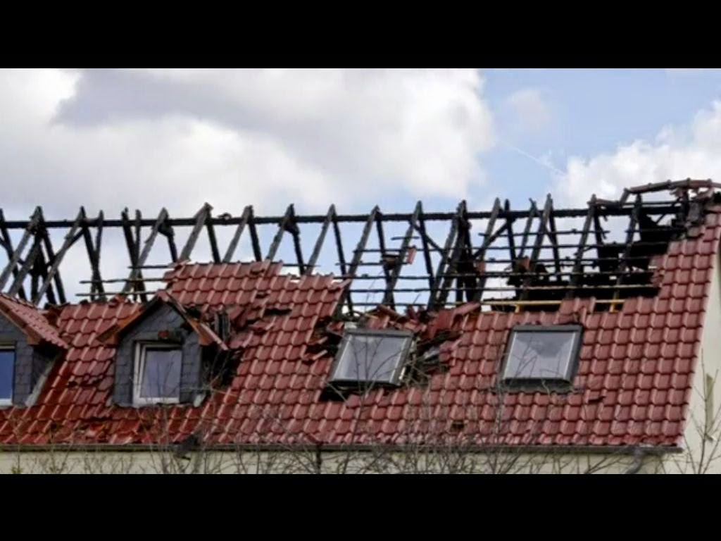 Vogel Vogel Des Jahres Von Thomas Brandt Die Bestandsentwicklung