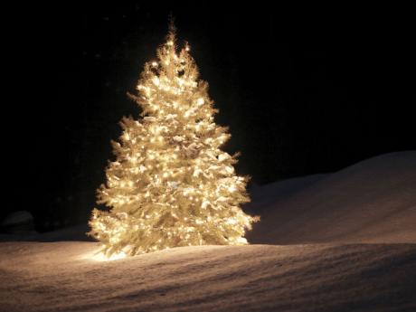 alejandro hern 225 ndez y von eckstein la navidad blanca de alejandro hern 225 ndez y von eckstein la navidad blanca de