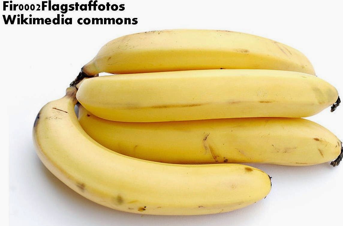 Roots 'n' Shoots Composting Kitchen waste, NPK & Fertilisers