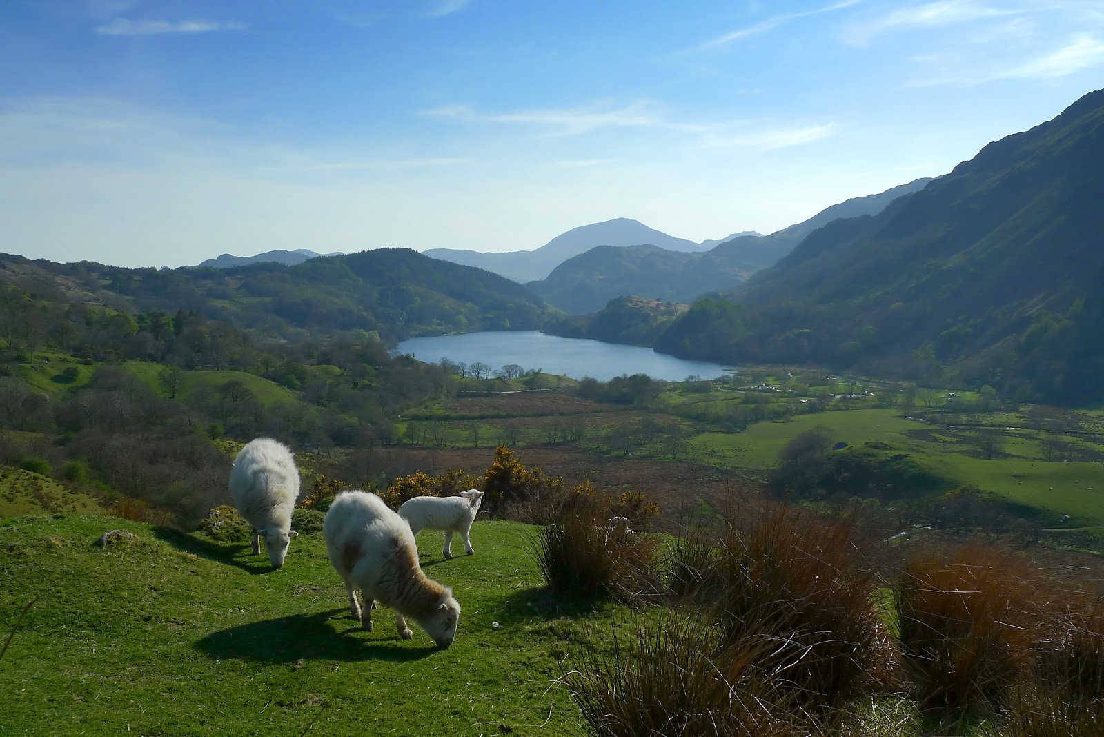 life without mondays: Snowdonia National Park life without mondays: Snowdonia National Park