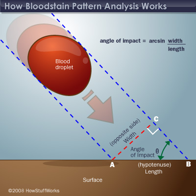 blood splatter lab Dropped at the scene: blood spatter analysis the complete forensics with vernier lab manual includes 14 labs and essential teacher information. blood splatter lab Dropped at the scene: blood spatter analysis the complete forensics with vernier lab manual includes 14 labs and essential teacher information.