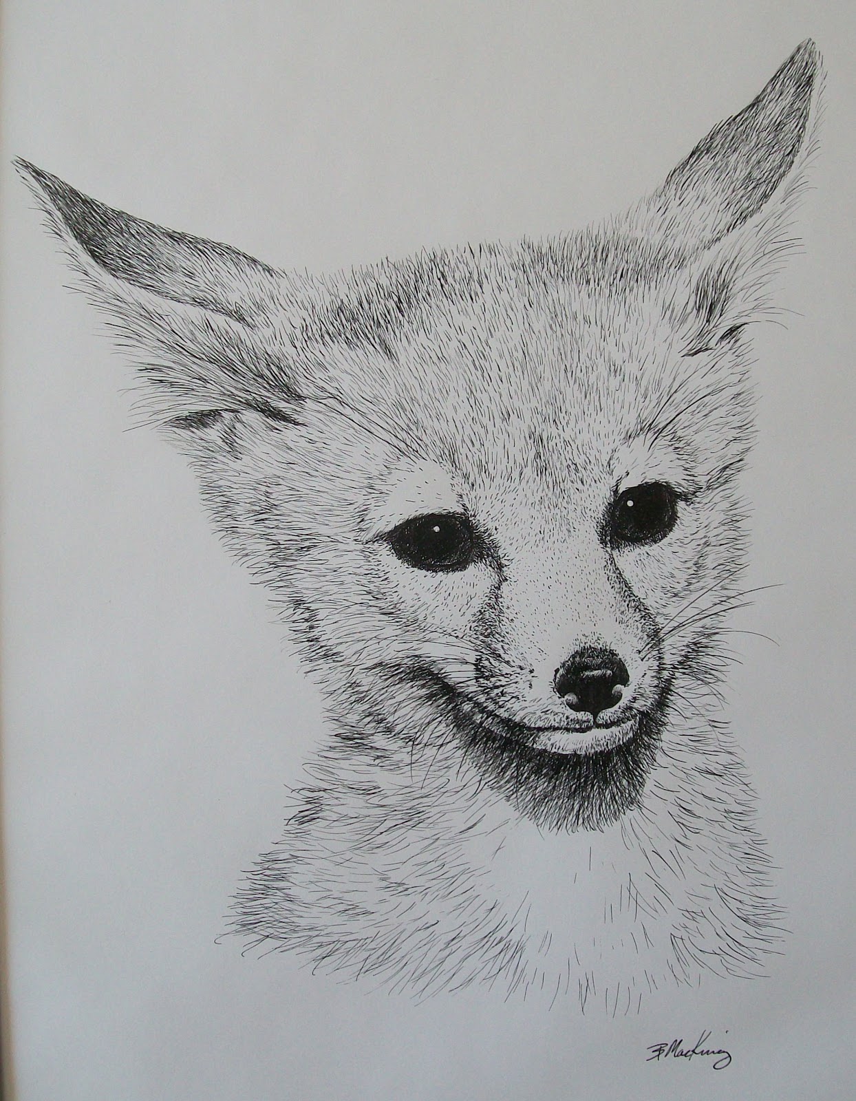 All Things Art Pen and ink gallery