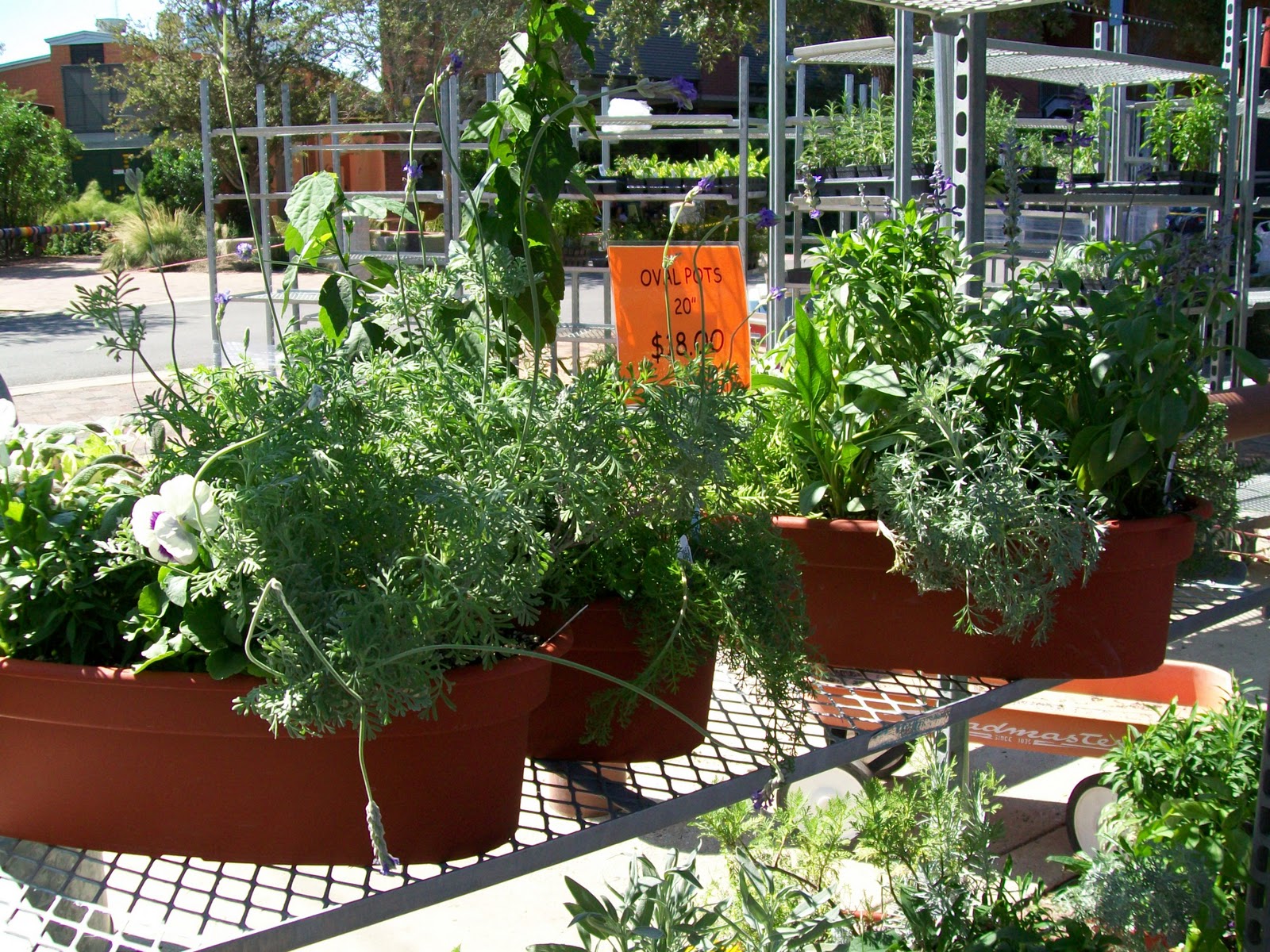 RockOakDeer San Antonio Herb Market