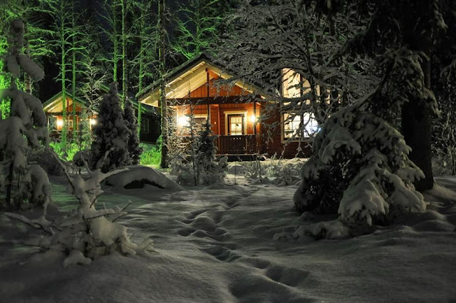 Las más bellas cabañas del bosque