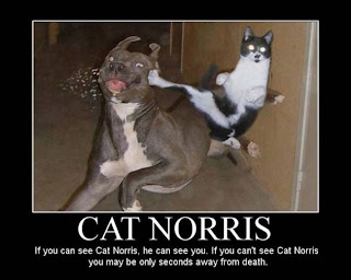 Funny Pics Funny Pics