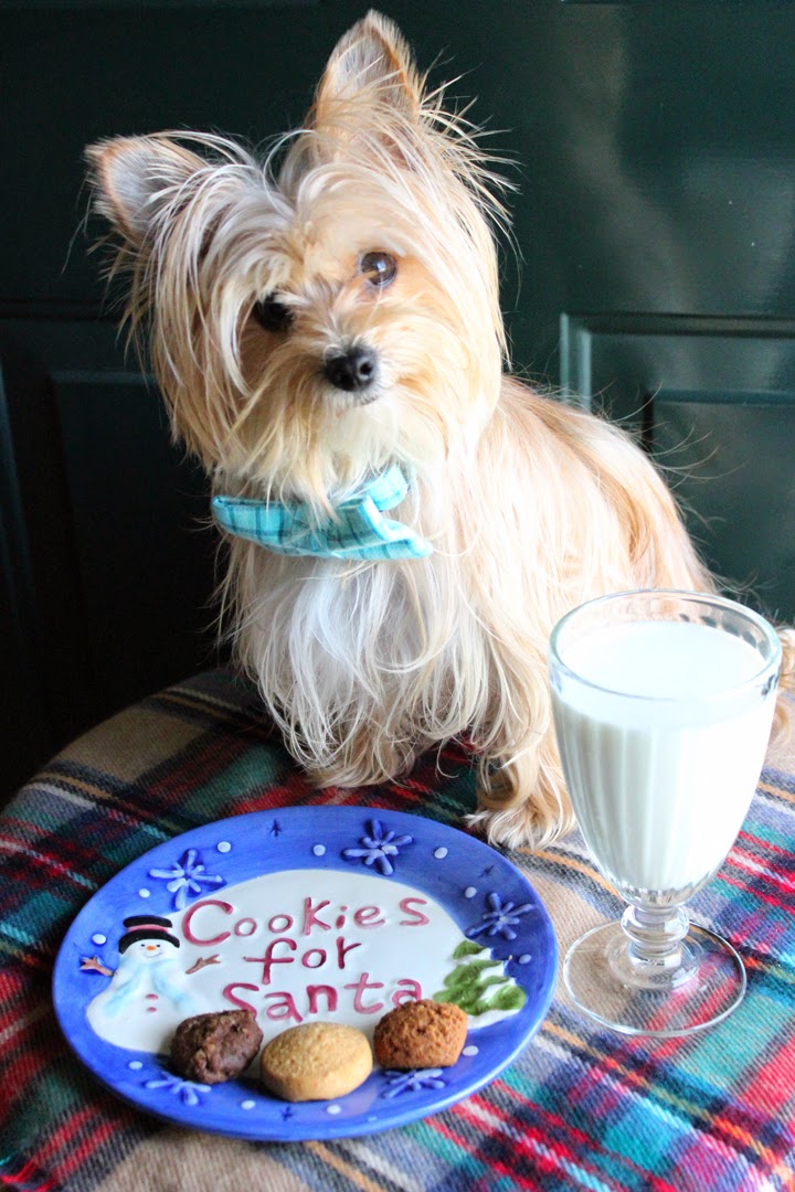 Three Dog Bakery Christmas Cookie Trio Fashion meets Food