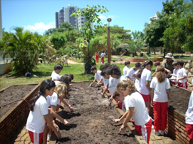 Horta Orgânica