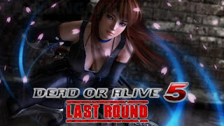 Dead or Alive 5 Last round Download for PC Full Version
