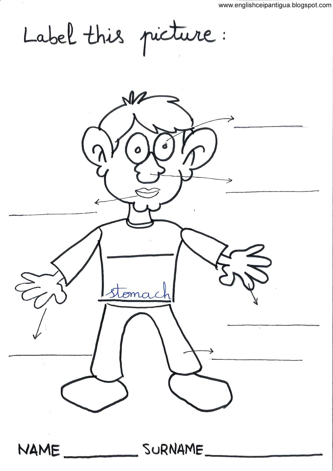 worksheet Parts Of Face Worksheet english at ntra sra de la antigua school head torso limbs limbs
