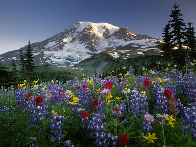 Nueva serie de paisajes naturales (10 imágenes)