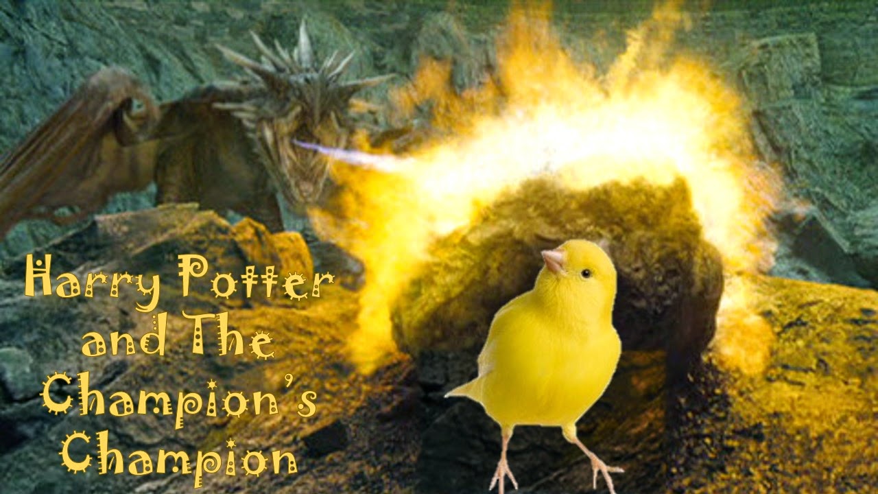 Fanfiction worth rereading Harry Potter and the Champion's Champion