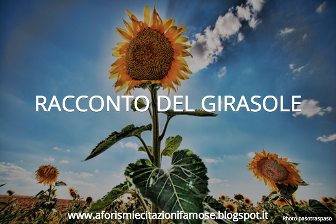 Aforismi E Citazioni Famose Racconto Del Girasole