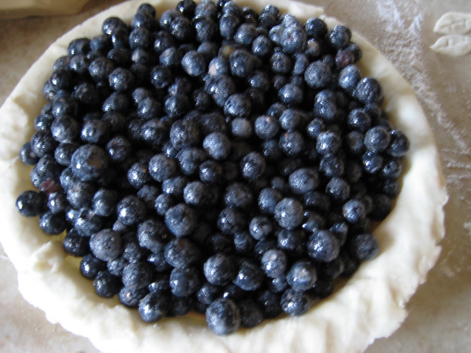 Blueberry Apple Pie