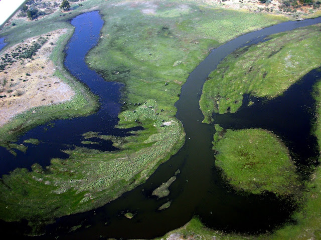 Volar en avioneta por el Delta del Okavango