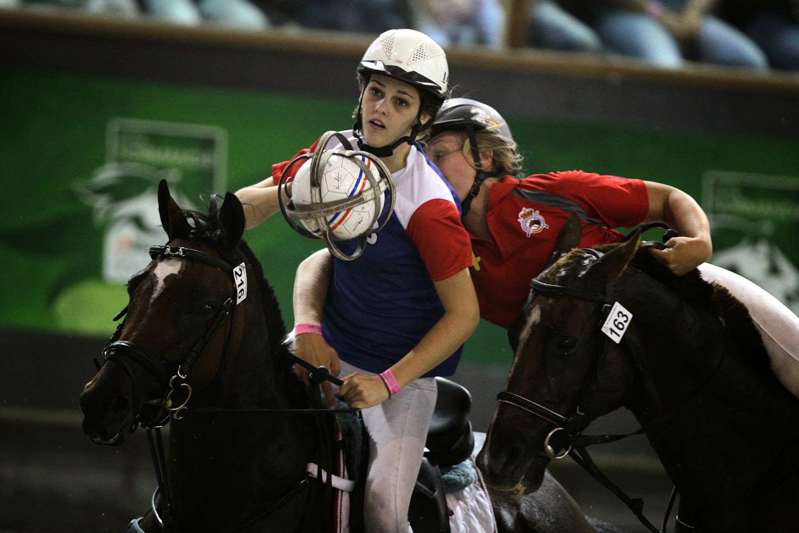 HorseBall game during FEI World Equestrian Games HD Photos