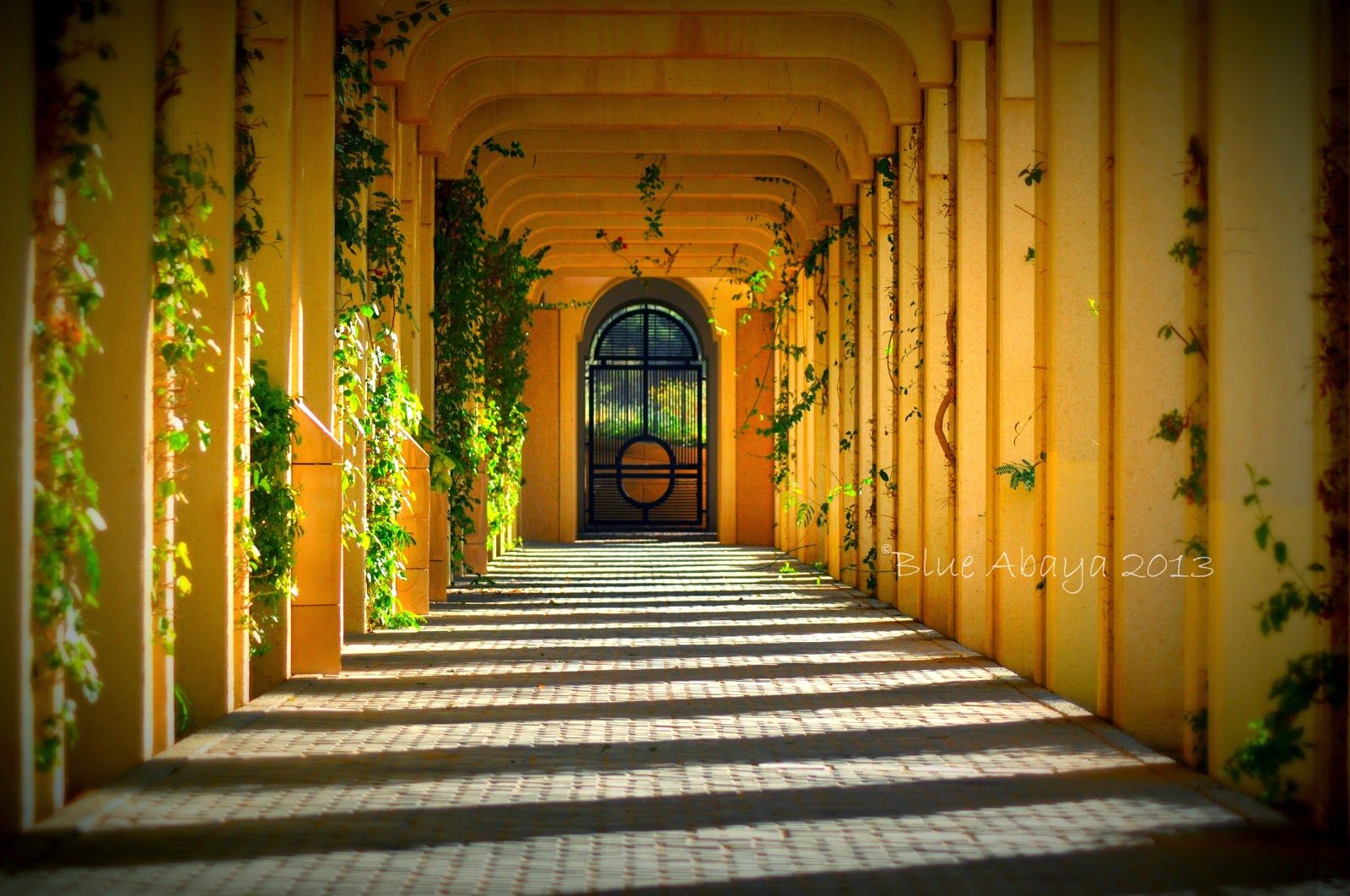 Riyadh's Hidden GemsThe Diplomatic Quarter Gardens The Holidays