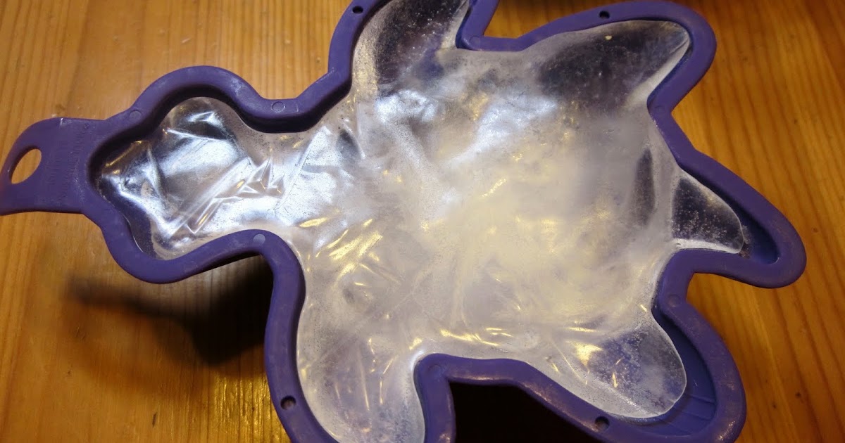 The Daily Turtle 89 Another Ice Turtle