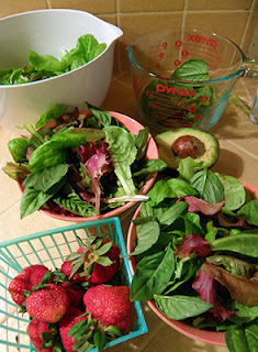 Two bowls of Salad in Progress, bowls of greens and strawberries