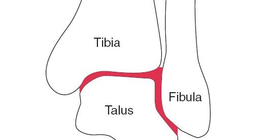 SPORTS AND HEALTHY LIFE: PERGELANGAN KAKI MANUSIA (ANKLE)