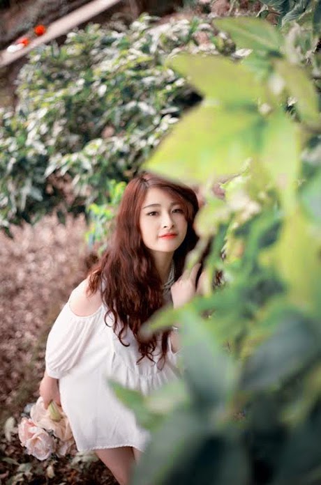 [Image: diep0206144-6f1fe.jpg]