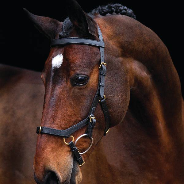 Micklem Bridles Totally Tack Online Shop