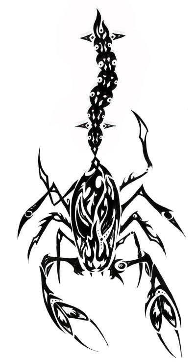 Tribal Tattoos on Tribal Tattoos Design For Men Area Distro
